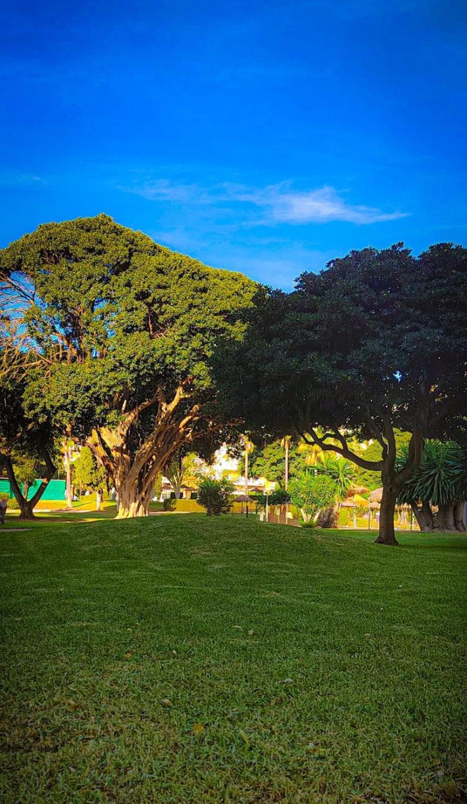 贝纳尔马德纳Kaizen. Terraza, Piscinas, Playa A 5 Minutos.公寓 外观 照片